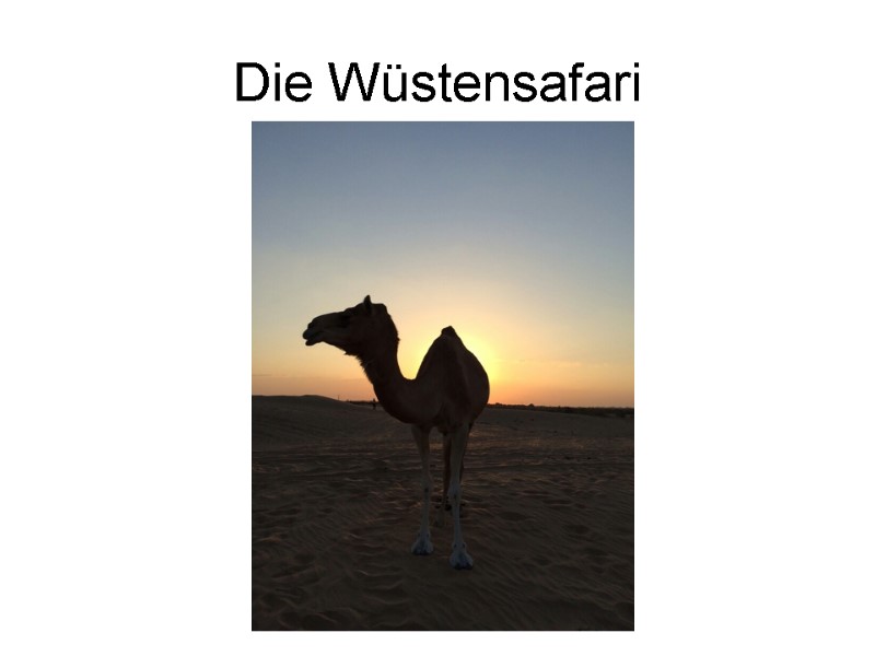 Die Wüstensafari